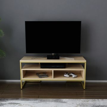 Comoda TV, Retricy, Merrion, 110x35x49.9 cm, PAL, Aur / Stejar