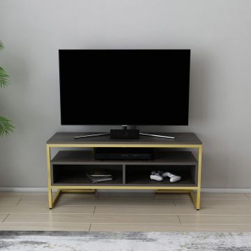 Comoda TV, Retricy, Merrion, 110x35x49.9 cm, PAL, Auriu / Gri închis