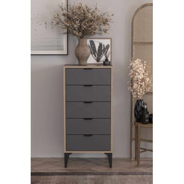 Dulap, Hanah Home, Arden, 50x105x40 cm, Antracit